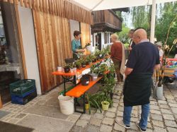 230508 Fruehlingsmarkt 15